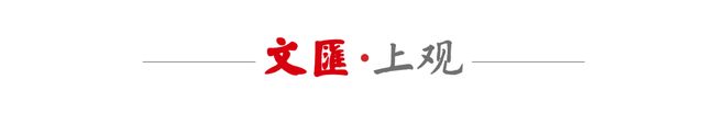 世界杯｜登场45分钟的背后，是这位奥地利中锋与五年内三次重伤的不懈抗争